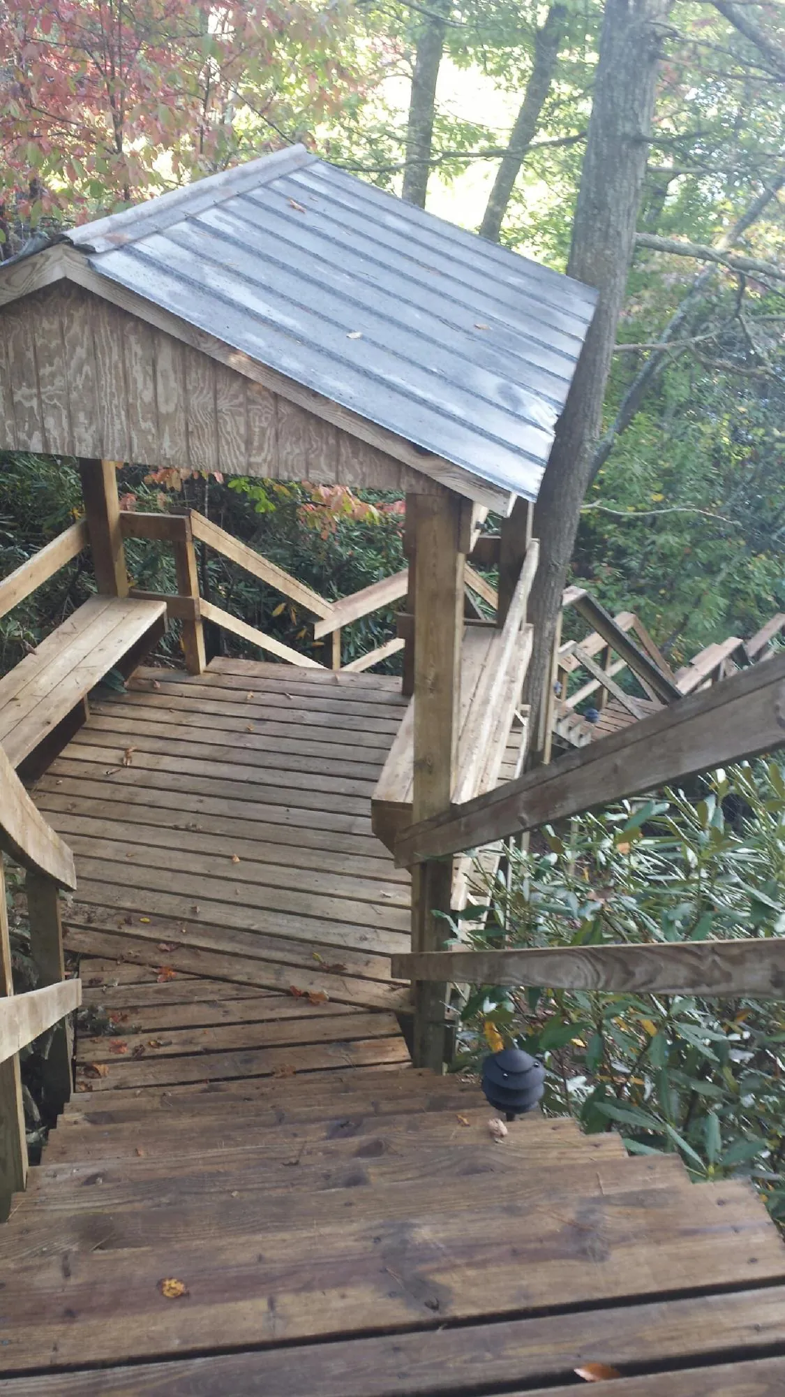 Metal roofed shelter over wooden steps on a wooded walkway — Skylight Repair & Installation work by our crew in Long Prairie